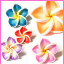 Perle fiore plumeria