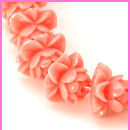Corallo