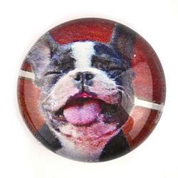 Cabochon 20mm con stampa - Cani - Mod. 03