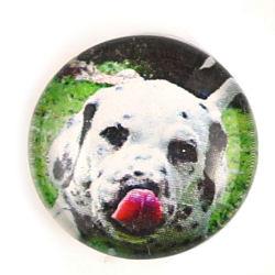 Cabochon 20mm con stampa - Cani - Mod. 05