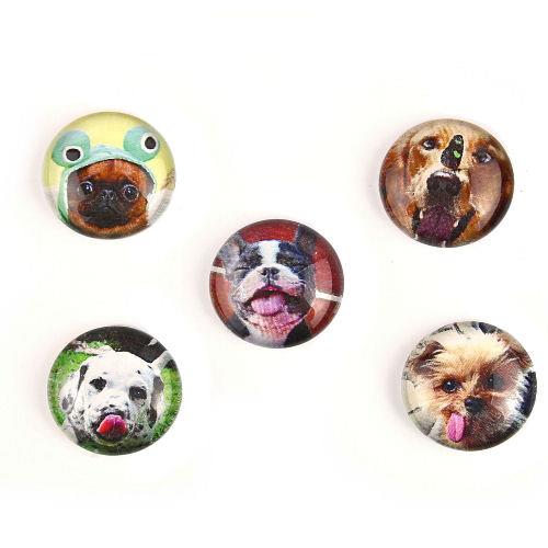 5 Cabochon 20mm con stampa - Cani - Mod. MX1