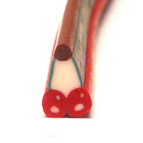 Cane CILIEGIA