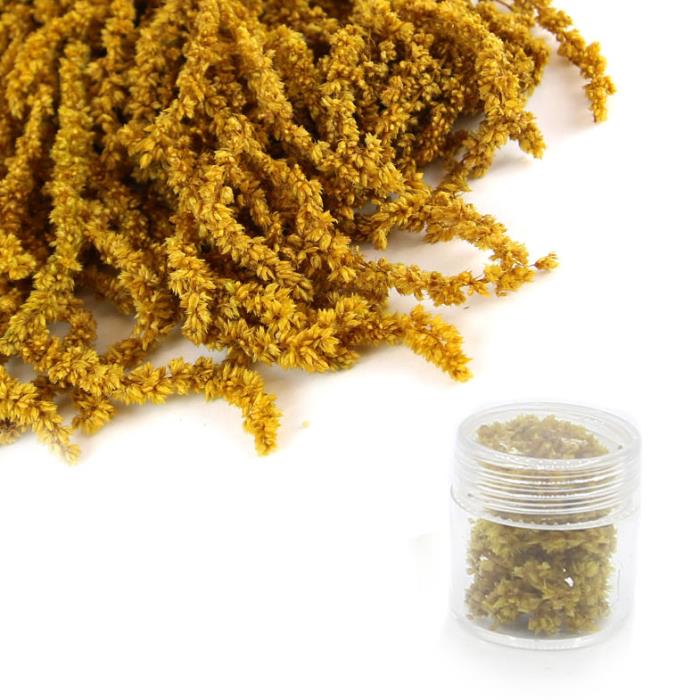 Fiori secchi - Mod. 01 - colore: GIALLO SENAPE