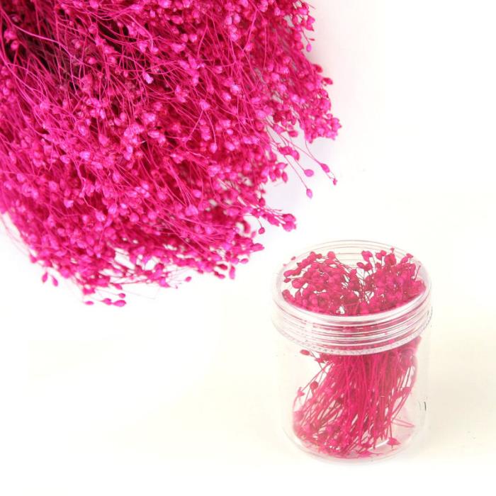 Fiori secchi - Mod. 04 - colore: FUCSIA