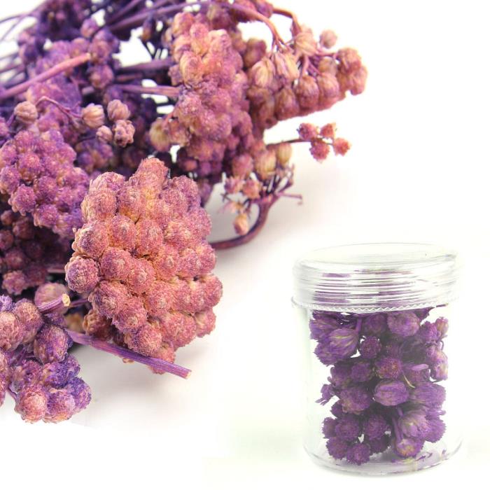 Fiori secchi - Mod. 05 - colore: VIOLA