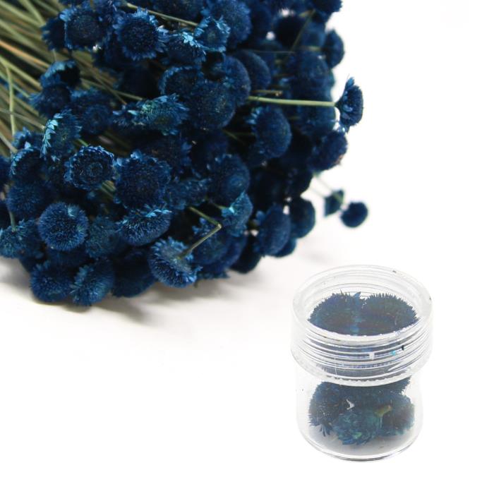 Fiori secchi - Mod. 12 - colore: BLU