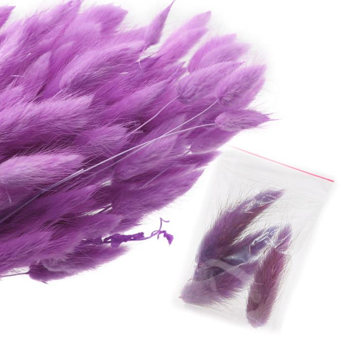Fiori secchi - Mod. 21 - colore: LILLA