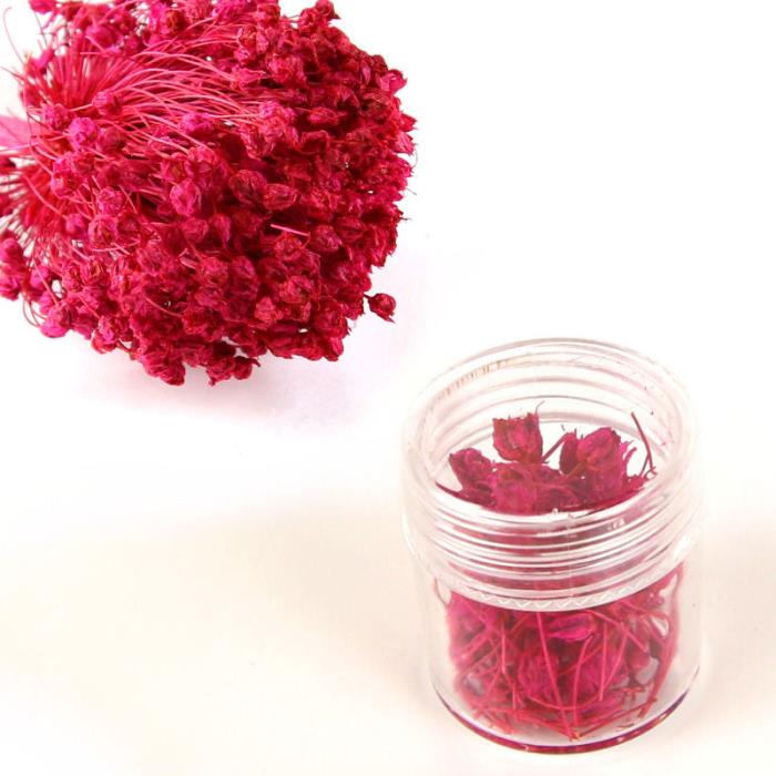 Fiori secchi - Mod. 37 - colore: FUCSIA