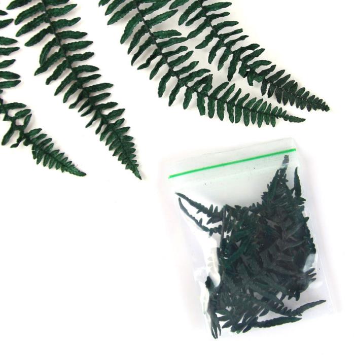 Fiori secchi - Mod. 39 - colore: VERDE FORESTA
