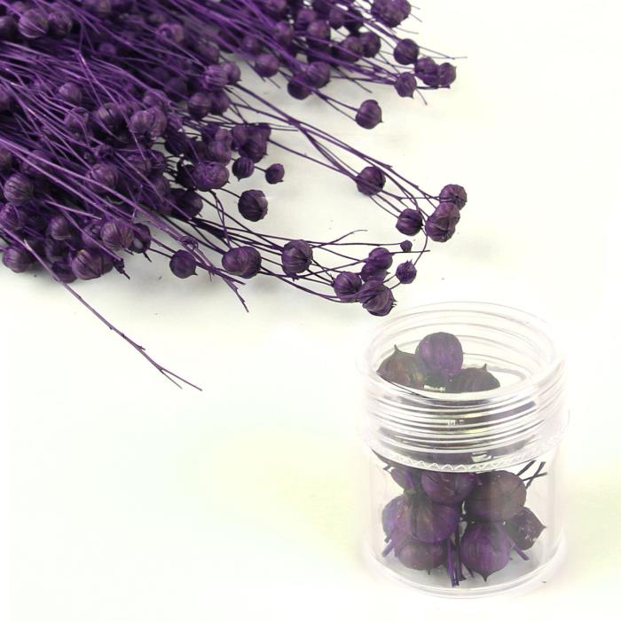 Fiori secchi - Mod. 44 - colore: VIOLA