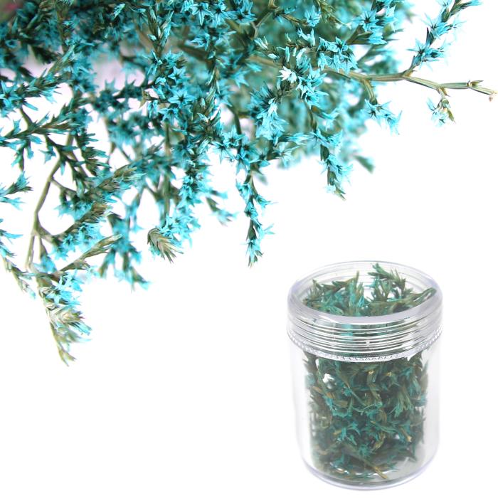 Fiori secchi - Mod. 32 - colore: TURCHESE