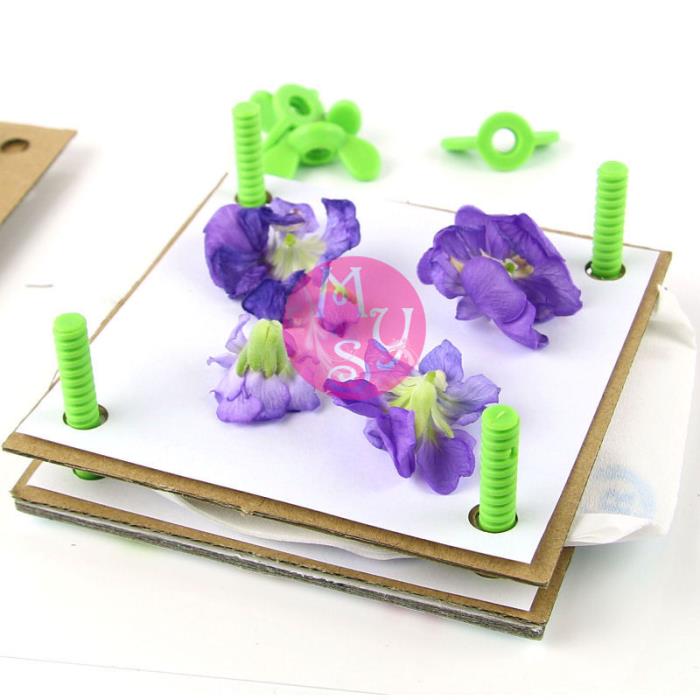 Kit pressa per essiccare fiori