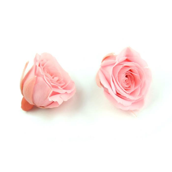 Rosa naturale stabilizzata - Mod. 1 - colore: ROSA