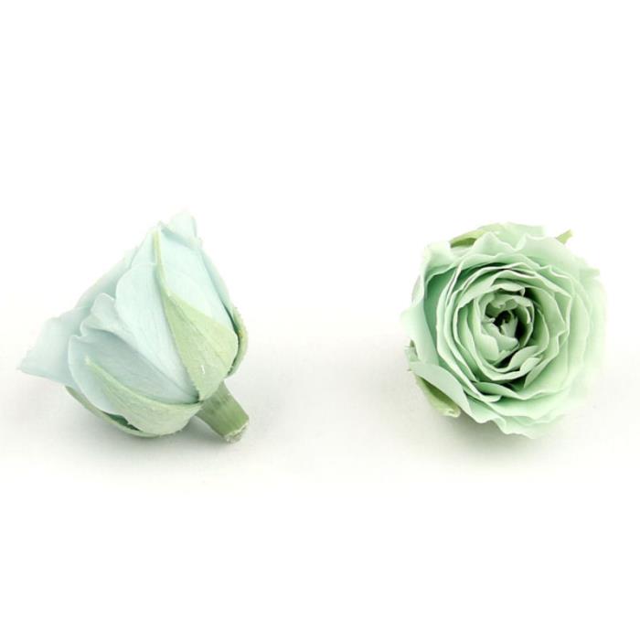 Rosa naturale stabilizzata - Mod. 1 - colore: TIFFANY