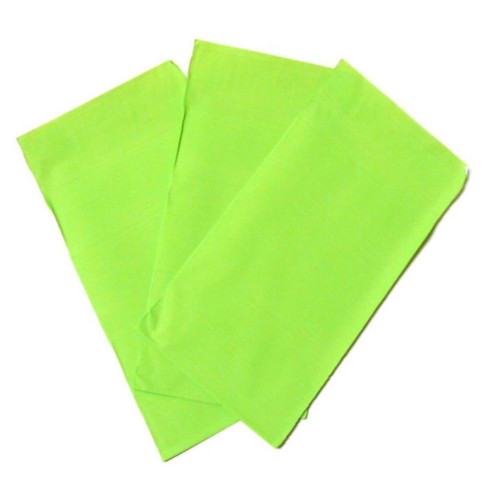 10 Sacchetti regalo - 17X9cm - colore: VERDE