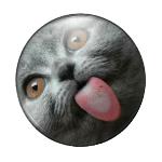 Cabochon tondo con stampa - 25mm - Gatti - Mod. 03