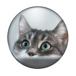 Cabochon tondo con stampa - 25mm - Gatti - Mod. 04