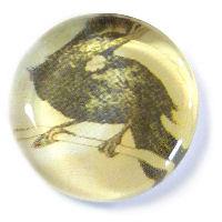 Cabochon tondo con stampa - 18mm - Piatti - Mod. P03