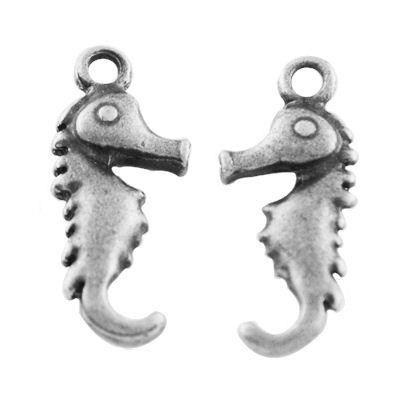 6 Charm argento cavalluccio marino