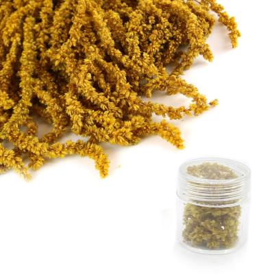 Fiori secchi - Mod. 01 - colore: GIALLO SENAPE