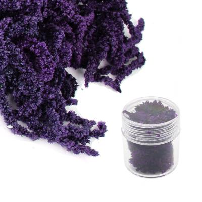 Fiori secchi - Mod. 01 - colore: VIOLA