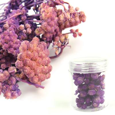 Fiori secchi - Mod. 05 - colore: VIOLA