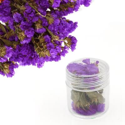 Fiori secchi - Mod. 08 - colore: VIOLA