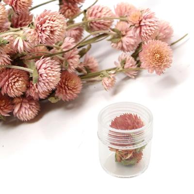 Fiori secchi - Mod. 13 - colore: ROSA