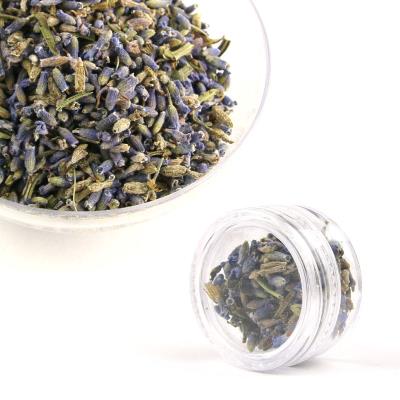 Fiori secchi - Mod. 14 - colore: LAVANDA