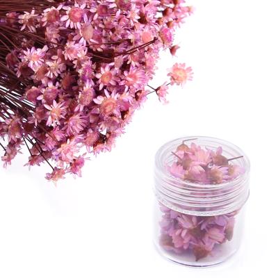 Fiori secchi - Mod. 24 - colore: LILLA - ROSATO