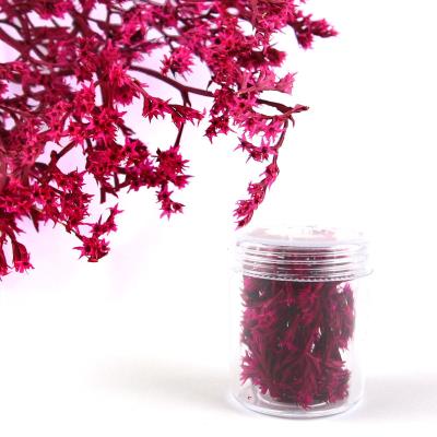 Fiori secchi - Mod. 32 - colore: FUCSIA