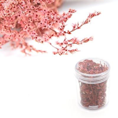Fiori secchi - Mod. 32 - colore: ROSA
