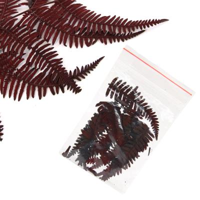 Fiori secchi - Mod. 39 - colore: BORDEAUX