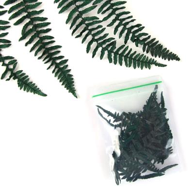 Fiori secchi - Mod. 39 - colore: VERDE FORESTA
