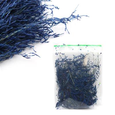 Fiori secchi - Mod. 40 - colore: BLU