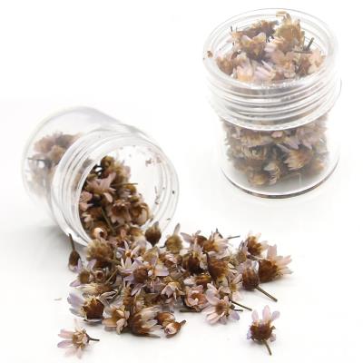 Fiori secchi - Mod. 24 - colore: LAVANDA CHIARISSIMO - Limited Edition