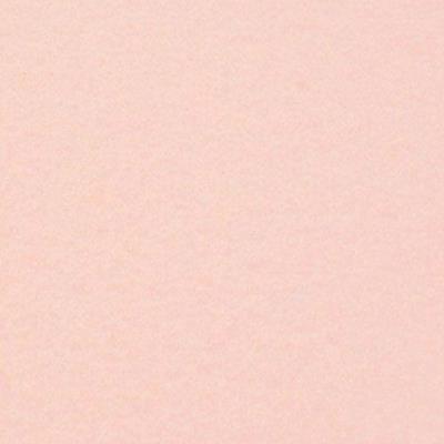 Pannolenci carne - 20x30cm